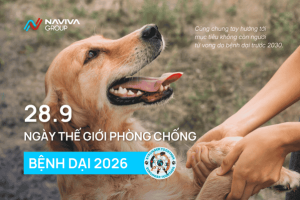 NGÀY THẾ GIỚI PHÒNG, CHỐNG BỆNH DẠI 2026: CHỦ ĐỘNG BẢO VỆ BẢN THÂN VÀ CỘNG ĐỒNG